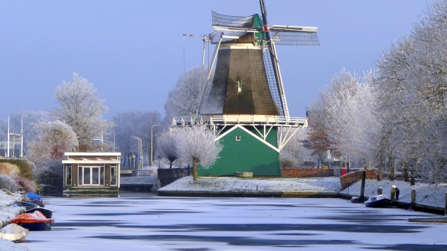 Nederlands voor anderstaligen (1 op 1 cursus)